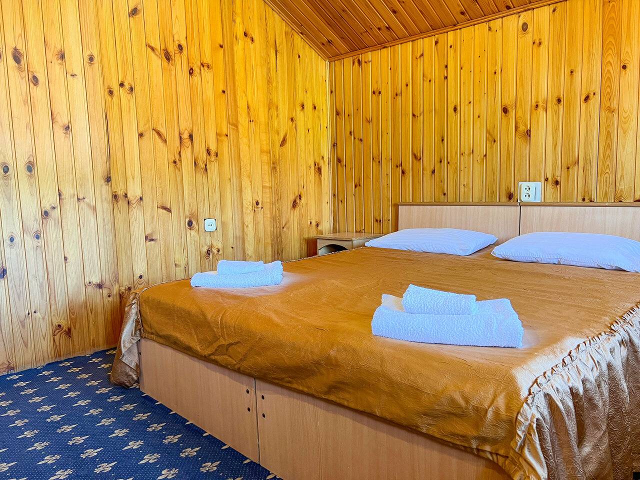 Двухместный номер с 1 кроватью или 2 отдельными кроватями